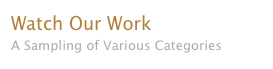 Watch Our Work
A Sampling of Various Categories